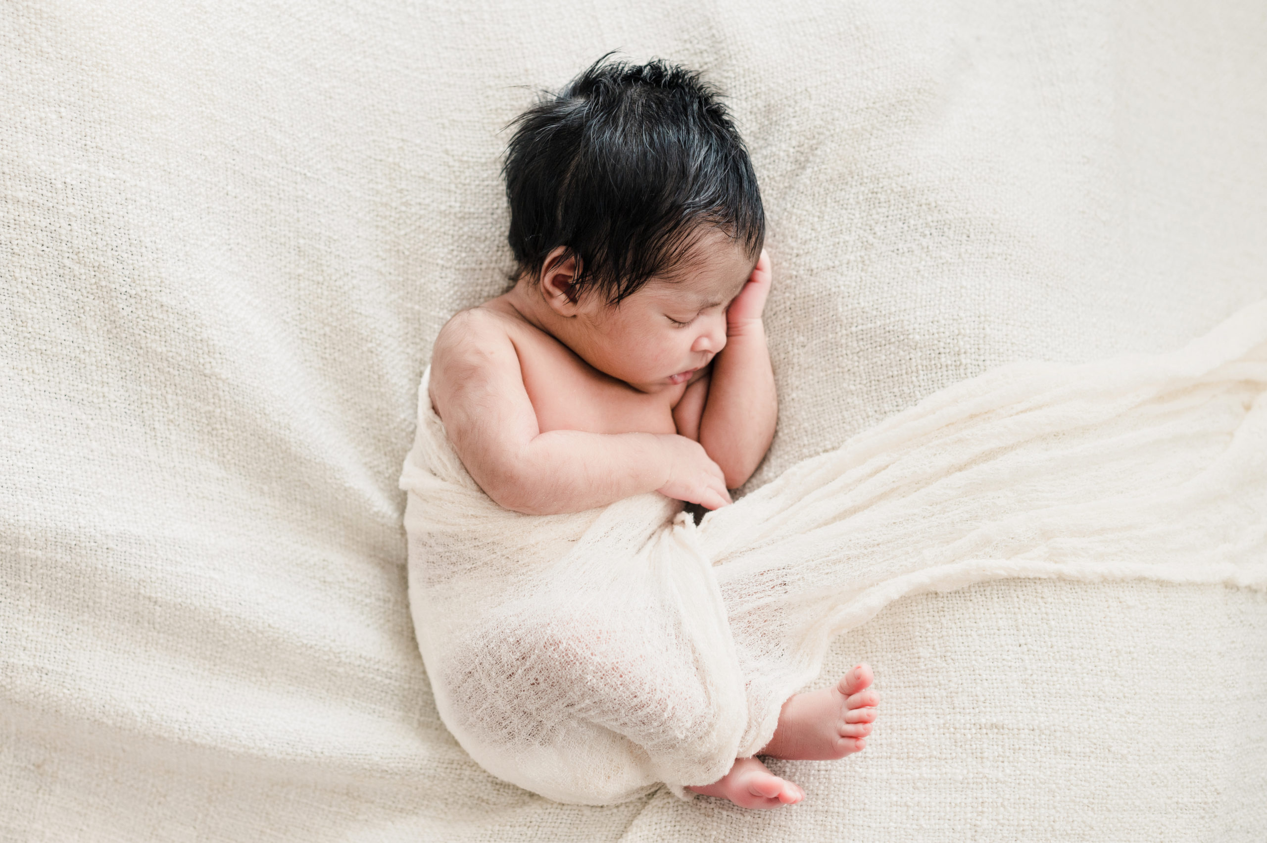 newborn portrait by tiona fuller photography